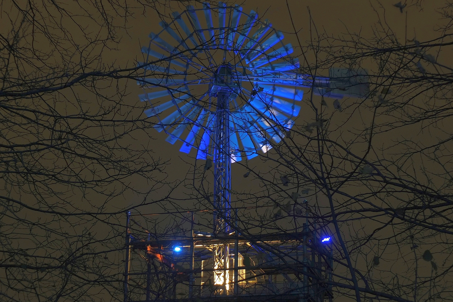 Windrad hinter Ästen!