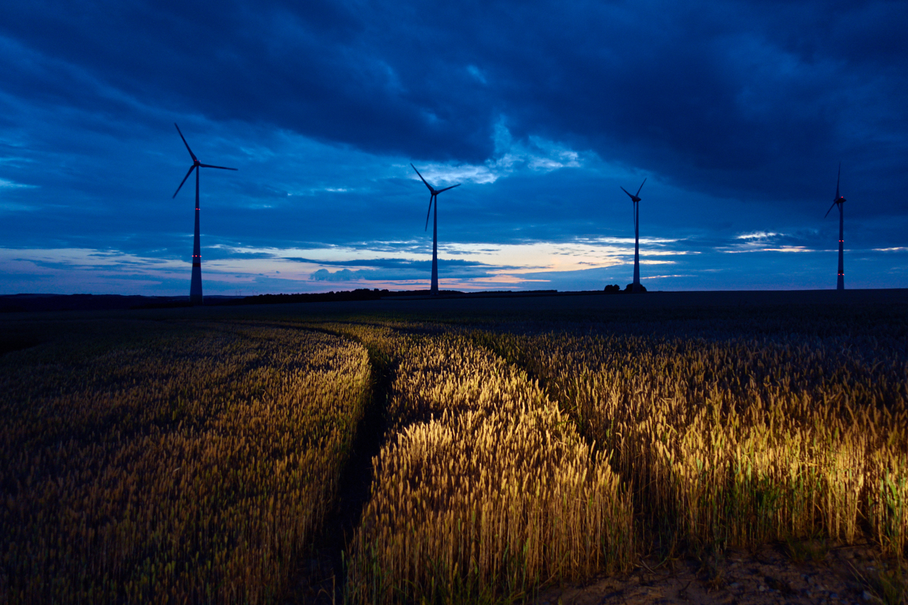 Windrad im Getreidefeld