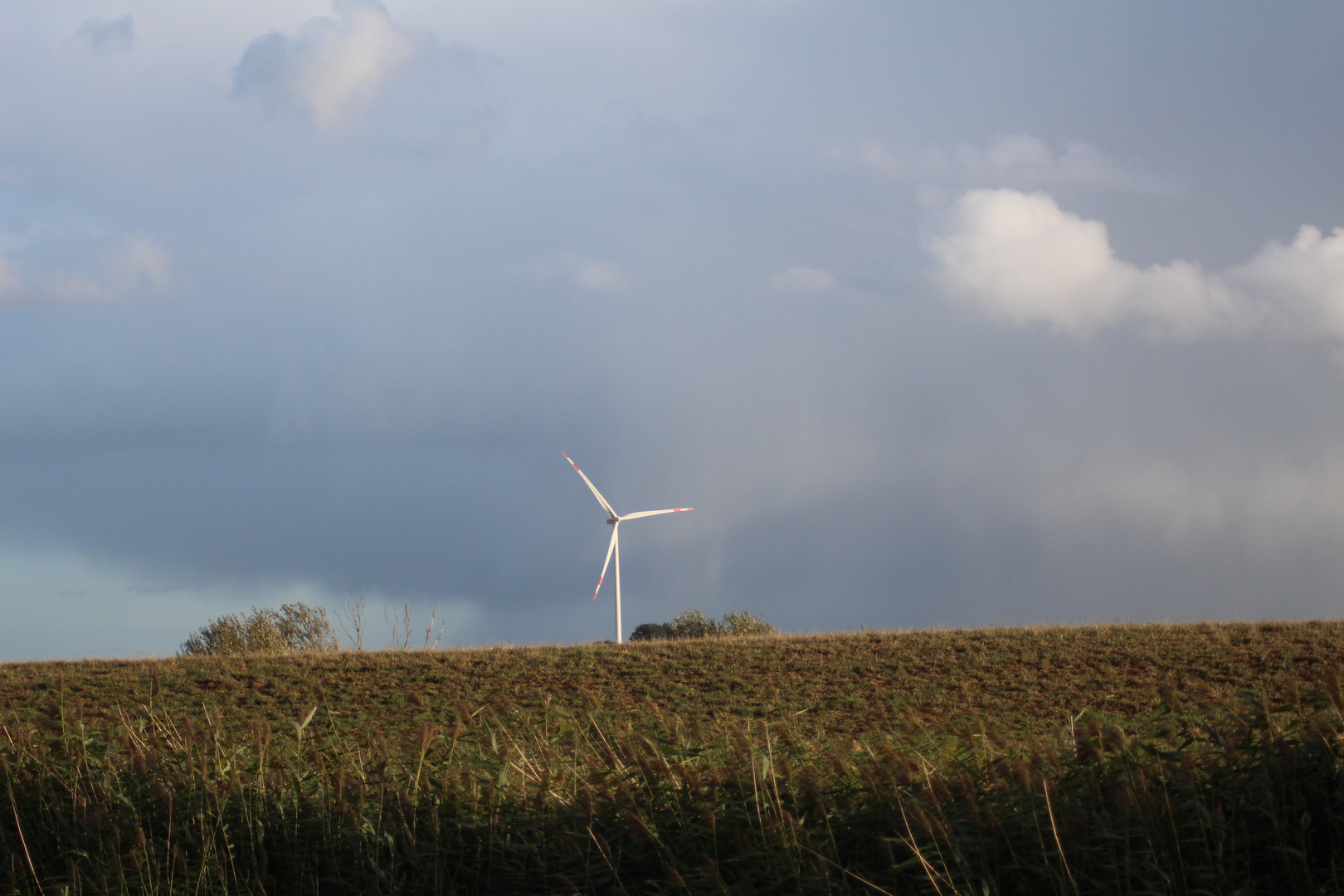 Windrad im Herbst