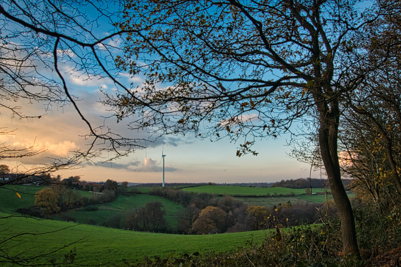 Windrad im Herbst