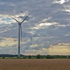 Windrad-im-Licht-der-untergehenden-Sonne