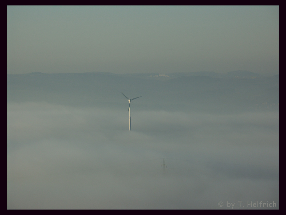 Windrad im Nebel