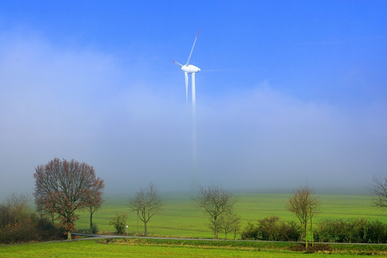 Windrad im Nebel