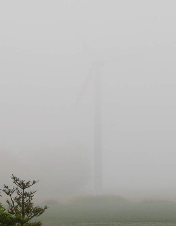 Windrad im Nebel