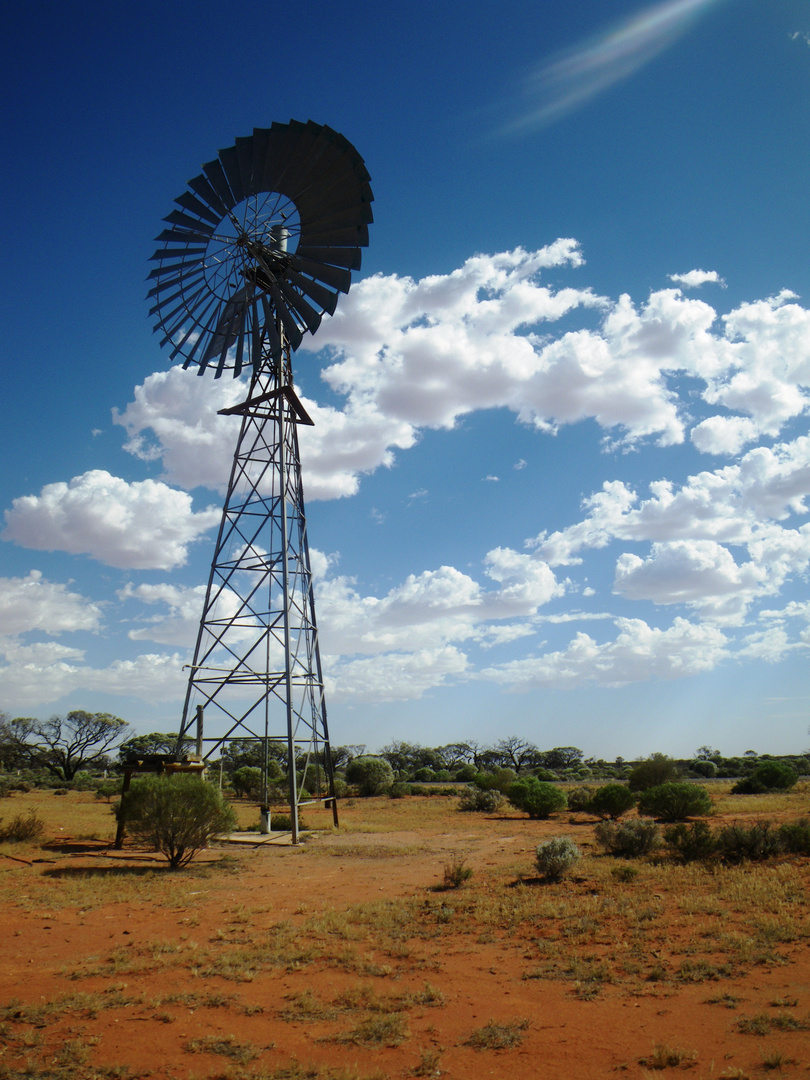 Windrad im Outback