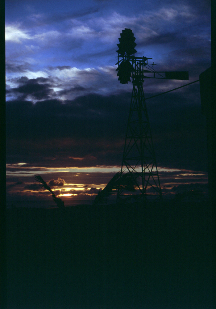 Windrad im Sonnenuntergang