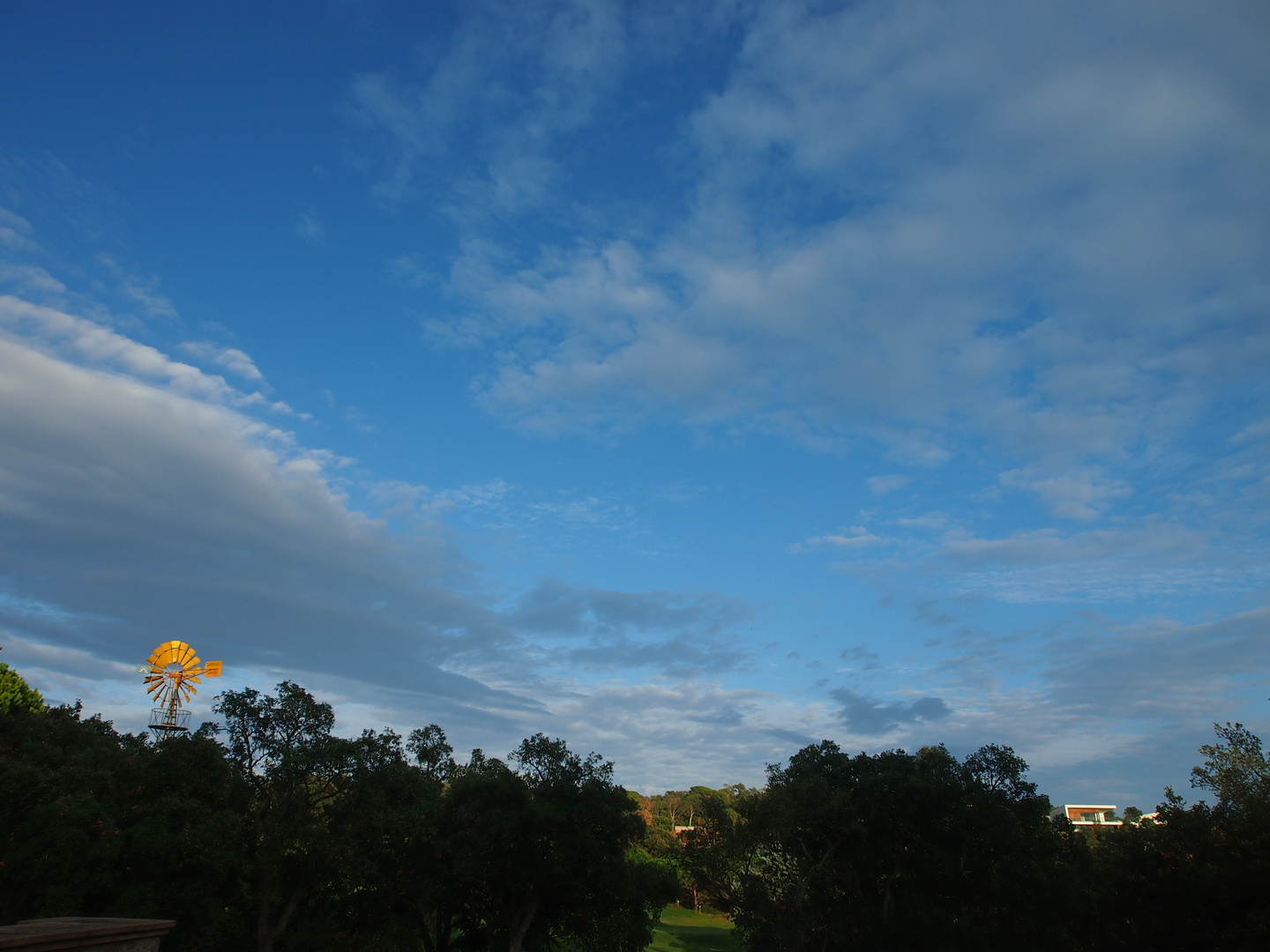 Windrad in der Abendsonne