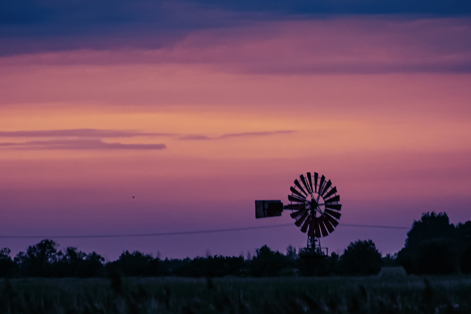 Windrad in der Abendsonne auf der Insel Fehmarn.