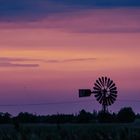 Windrad in der Abendsonne auf der Insel Fehmarn.