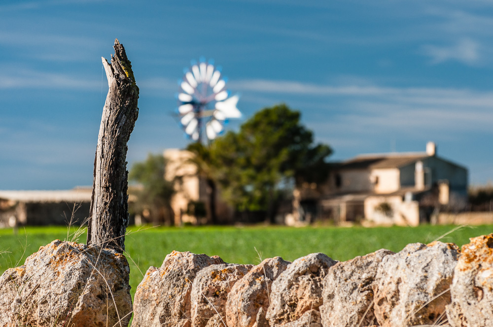 Windrad in der Nähe von Campos Foto & Bild europe, balearic islands