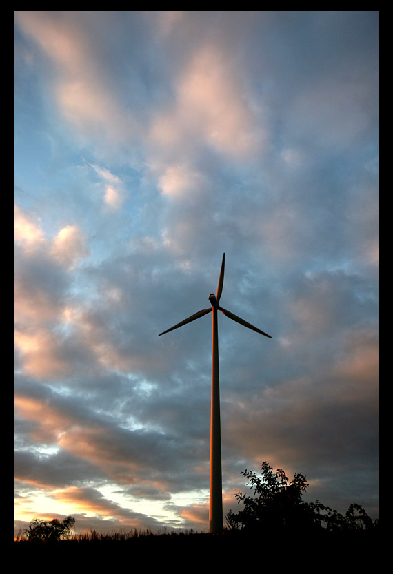 Windrad in Herbst