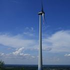 Windrad in Schalke-Optik und niedliche Rundvordäche auf der Halde in Oberscholven