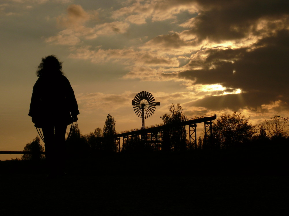 Windrad Landschaftspark DU