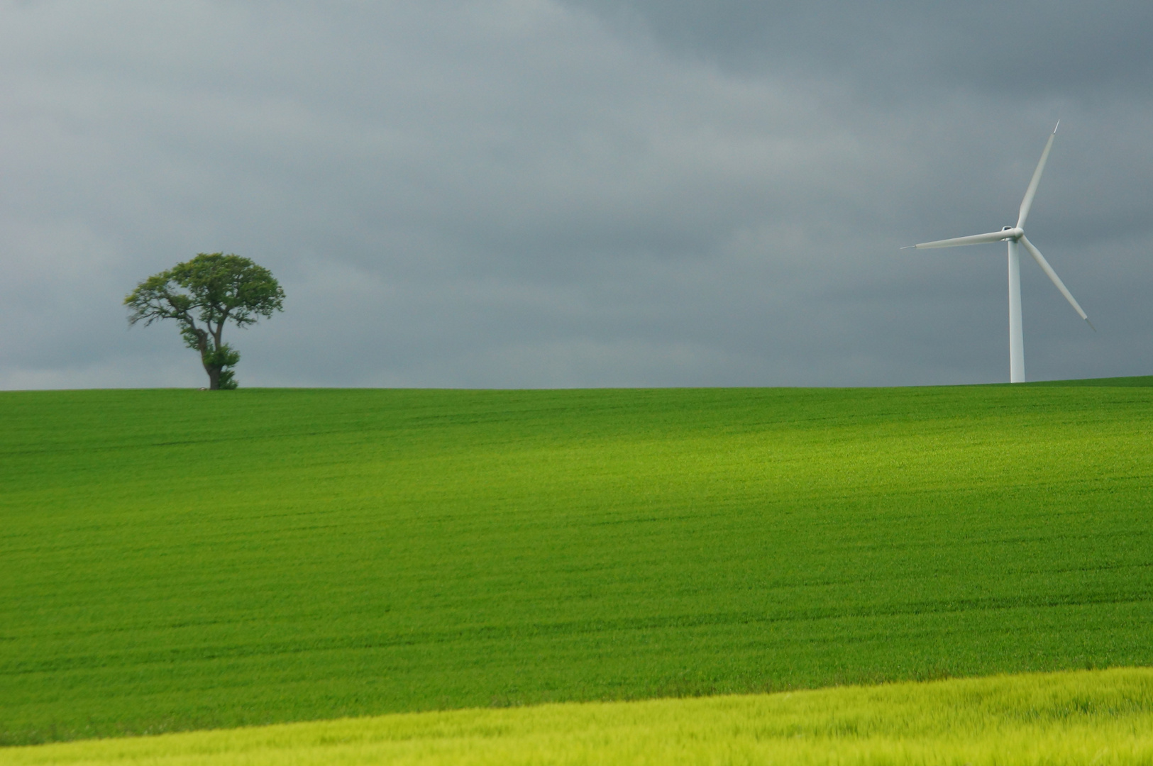 Windrad und Baum