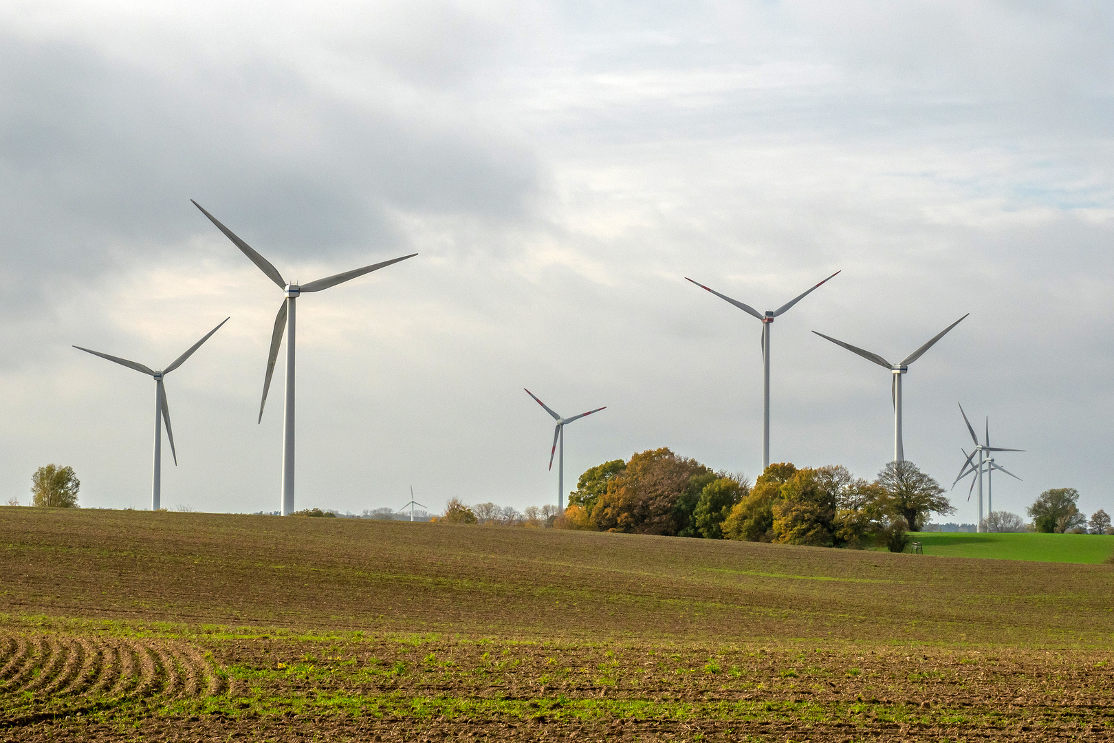 Windräder