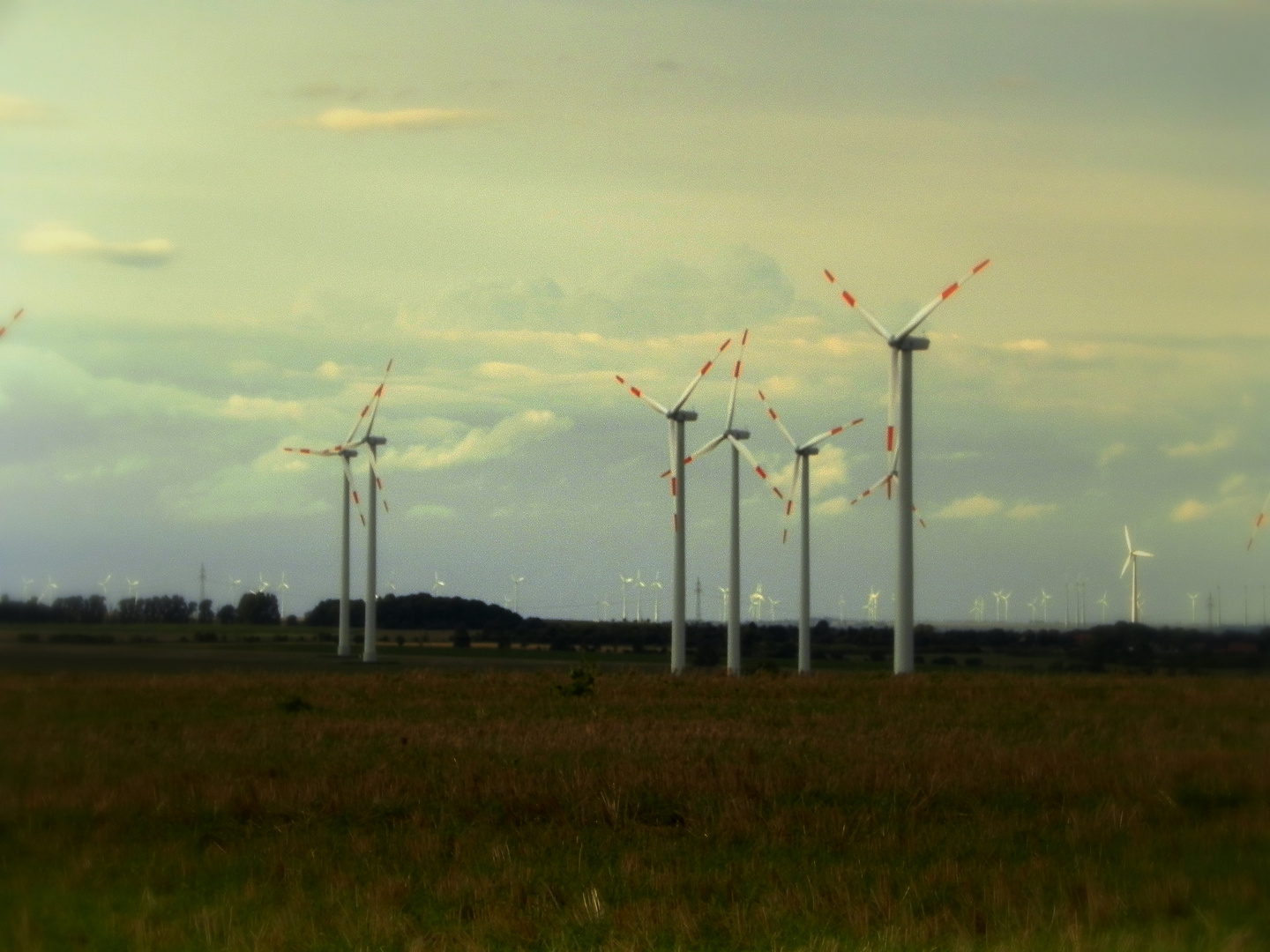 Windräder