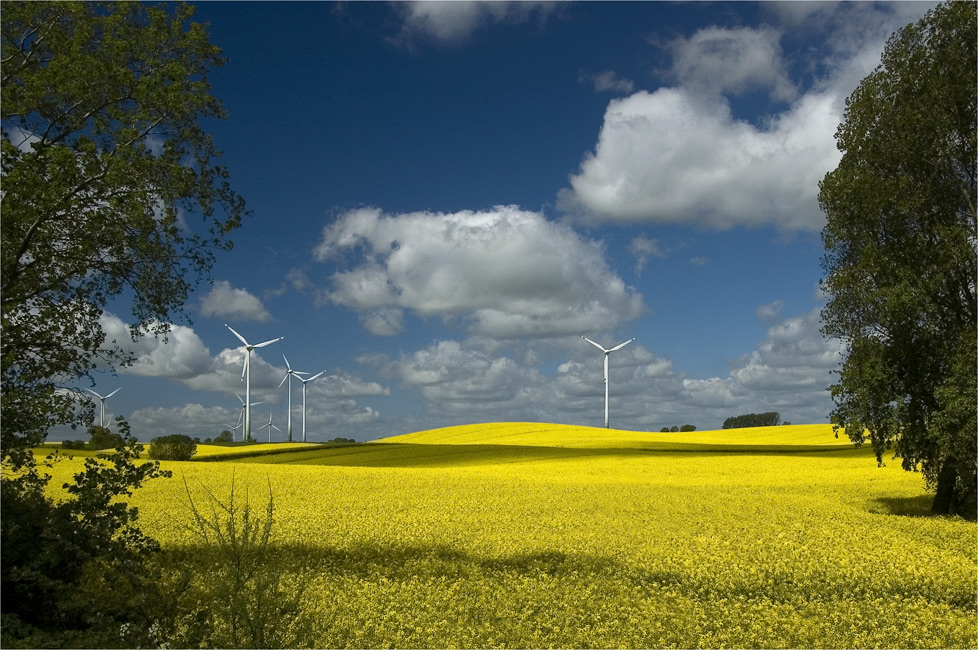 ...Windräder...