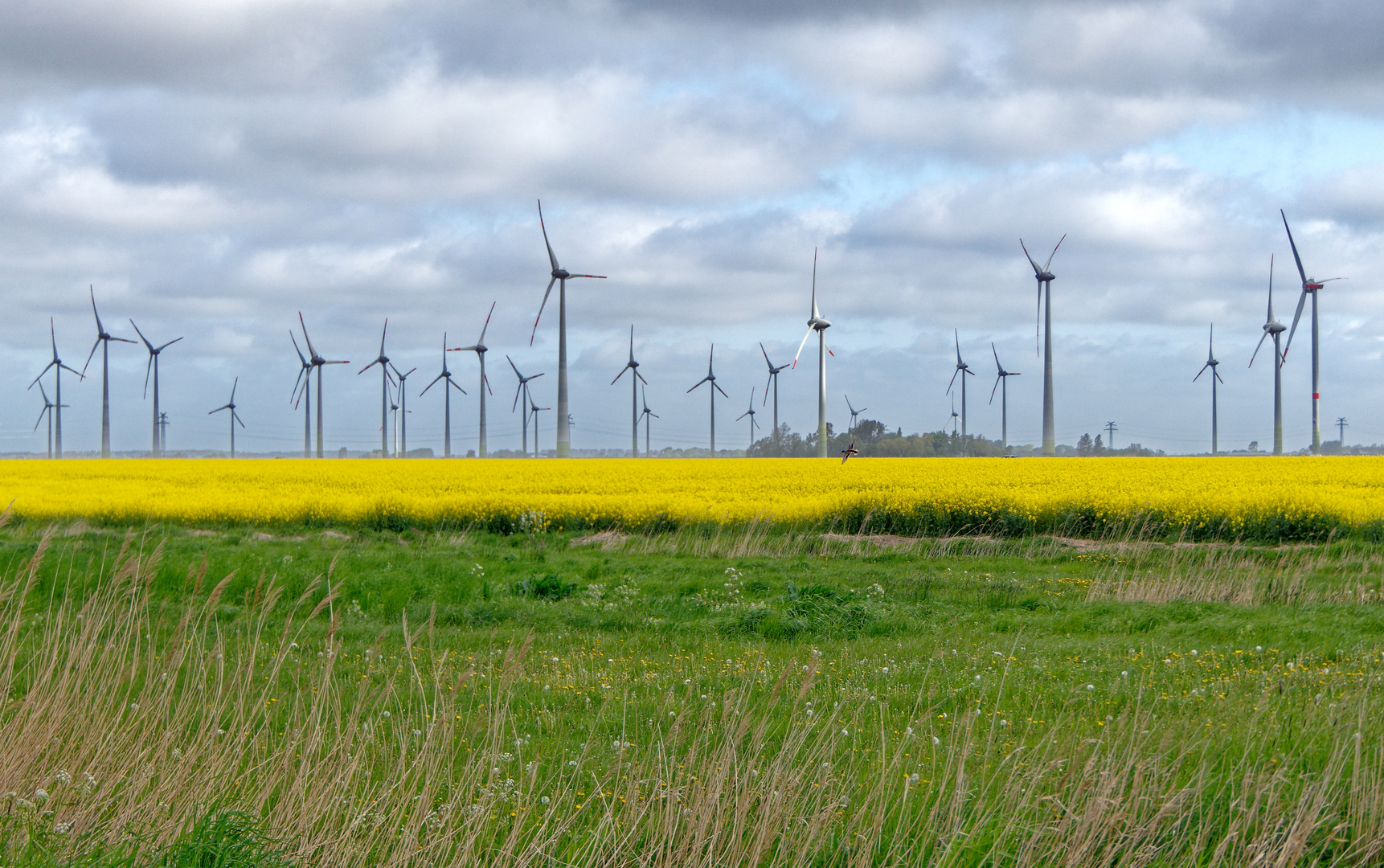 Windräder