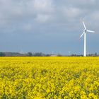 Windräder