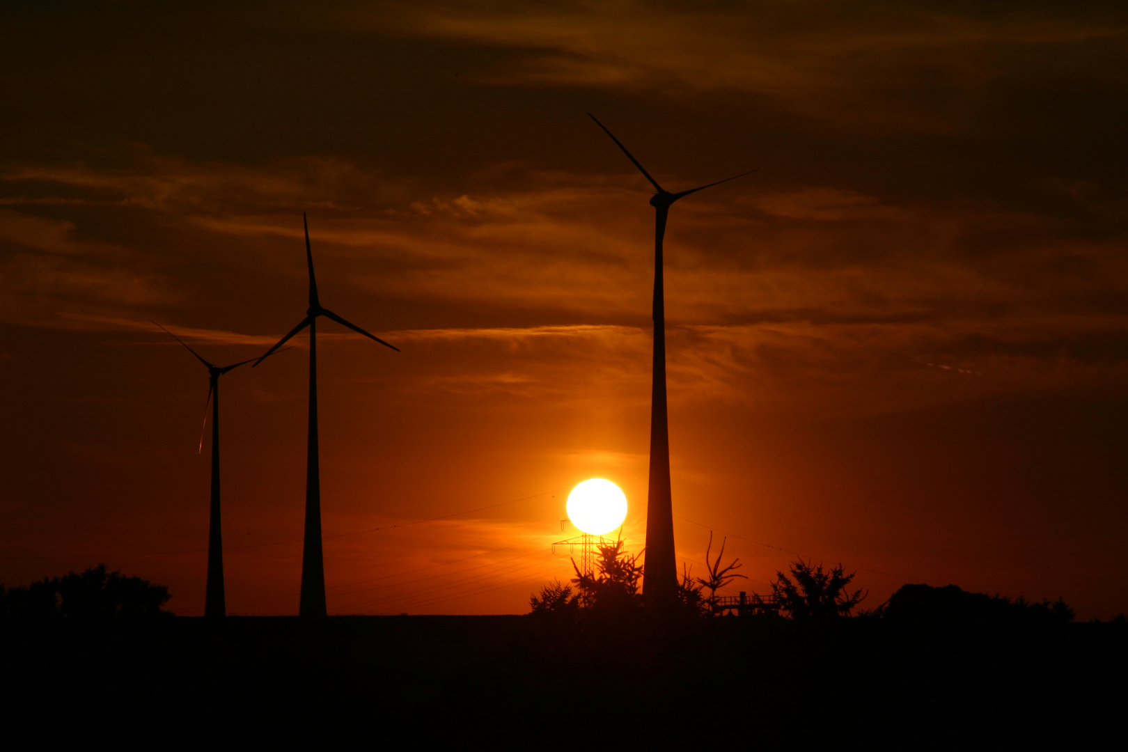 Windräder - Abendstimmung