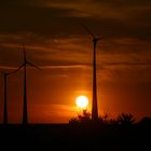 Windräder - Abendstimmung