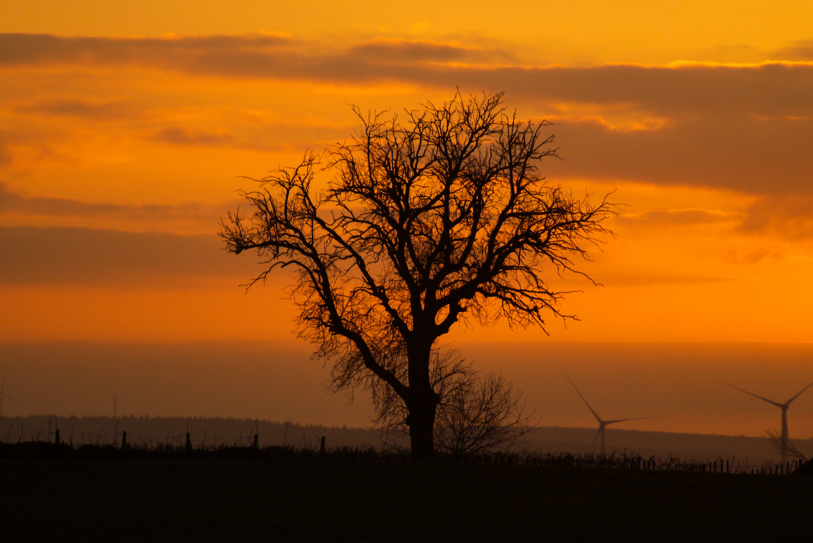 Windräder am Abend