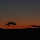 Windräder am Horizont