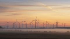 Windräder am Morgen