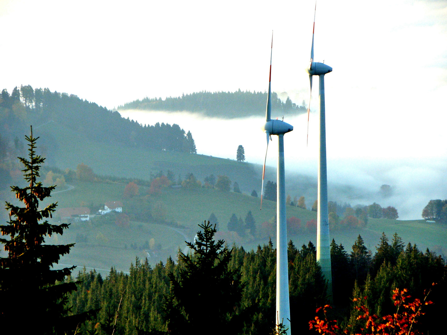 Windräder am Schauinsland  /  Holzschlägermatte