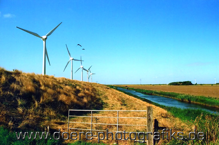 Windräder auf dem Deich vor Sylt