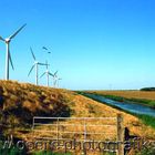 Windräder auf dem Deich vor Sylt