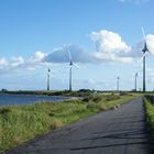 Windräder auf Fehmarn