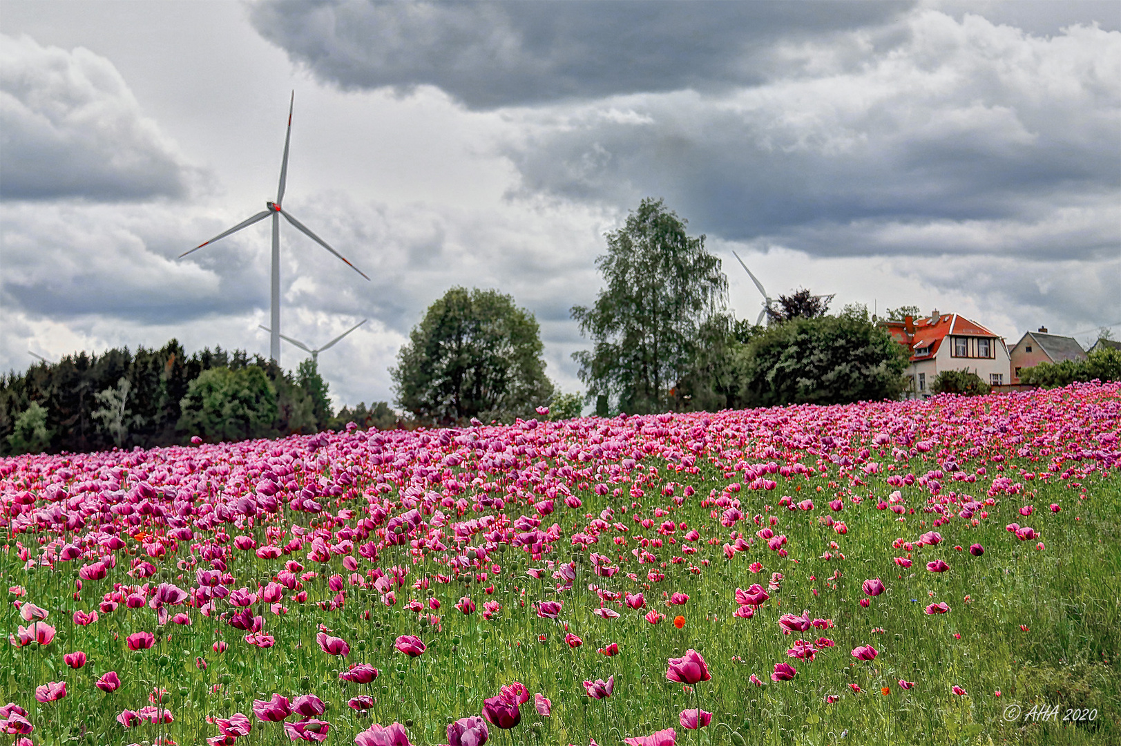 Windräder