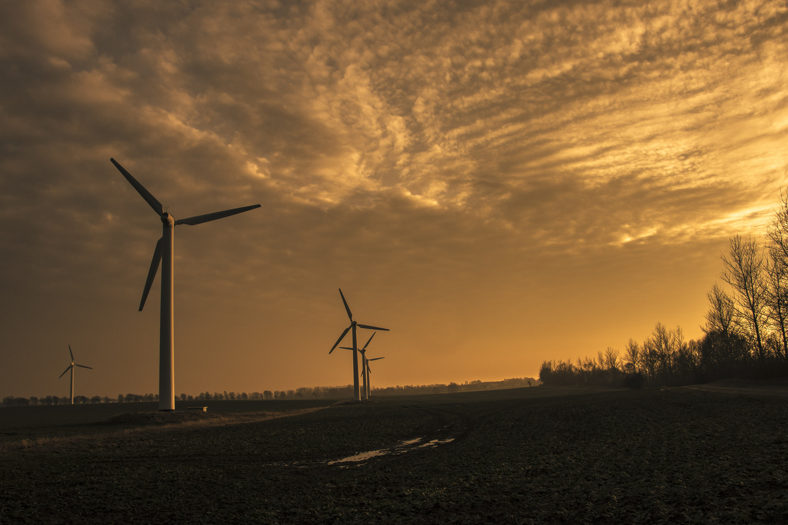 Windräder bei Altefähr/Rügen