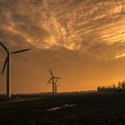 Windräder bei Altefähr/Rügen