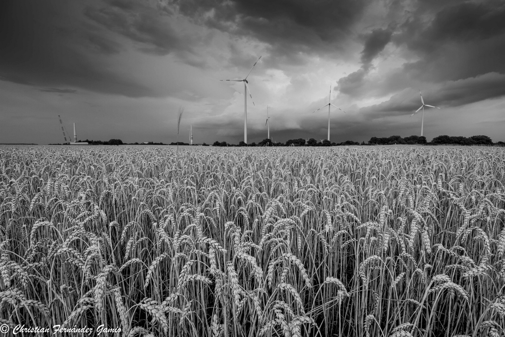 Windräder bei Bellheim