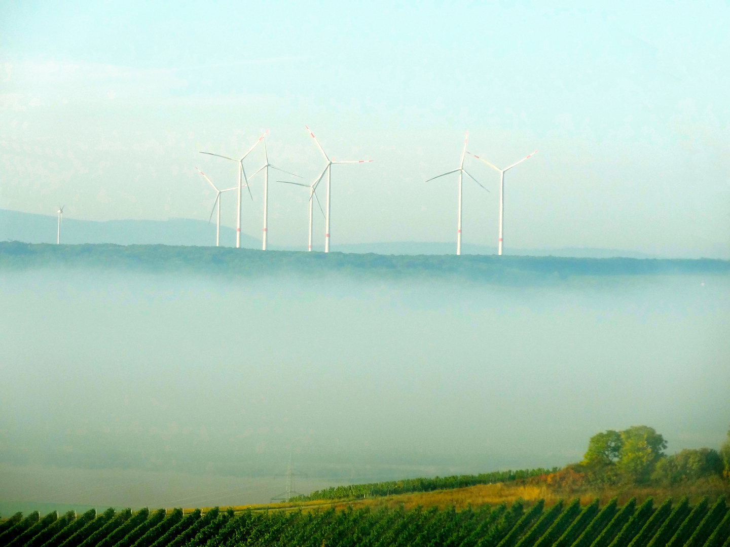 Windräder bei Flonheim, Rheinhessen