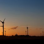 Windräder bei Hage / Ostfriesland - Panorama