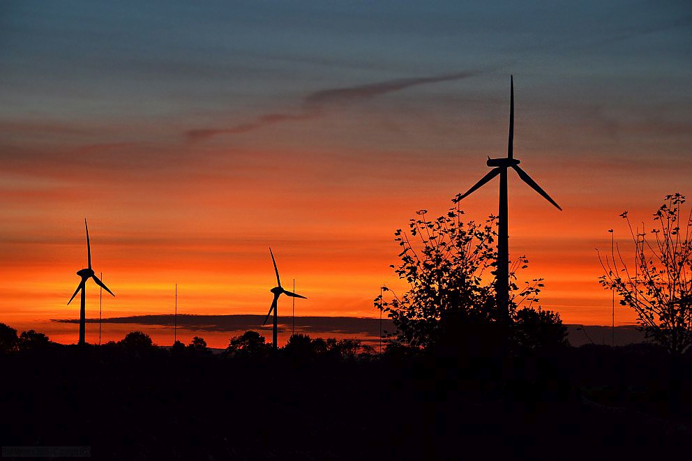 Windräder bei Sonnenaufgang