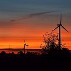 Windräder bei Sonnenaufgang