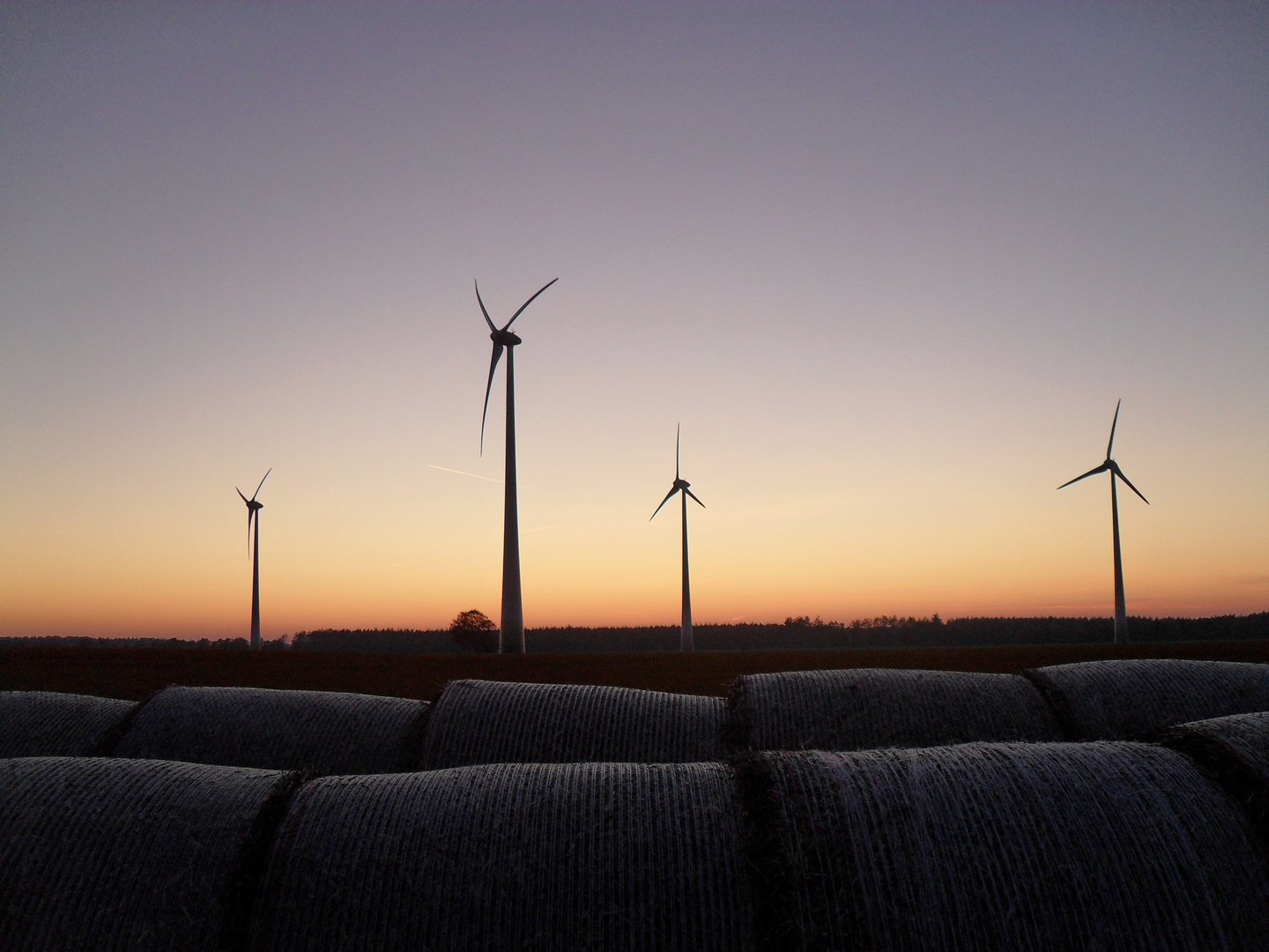 Windräder bei Sonnenuntergang