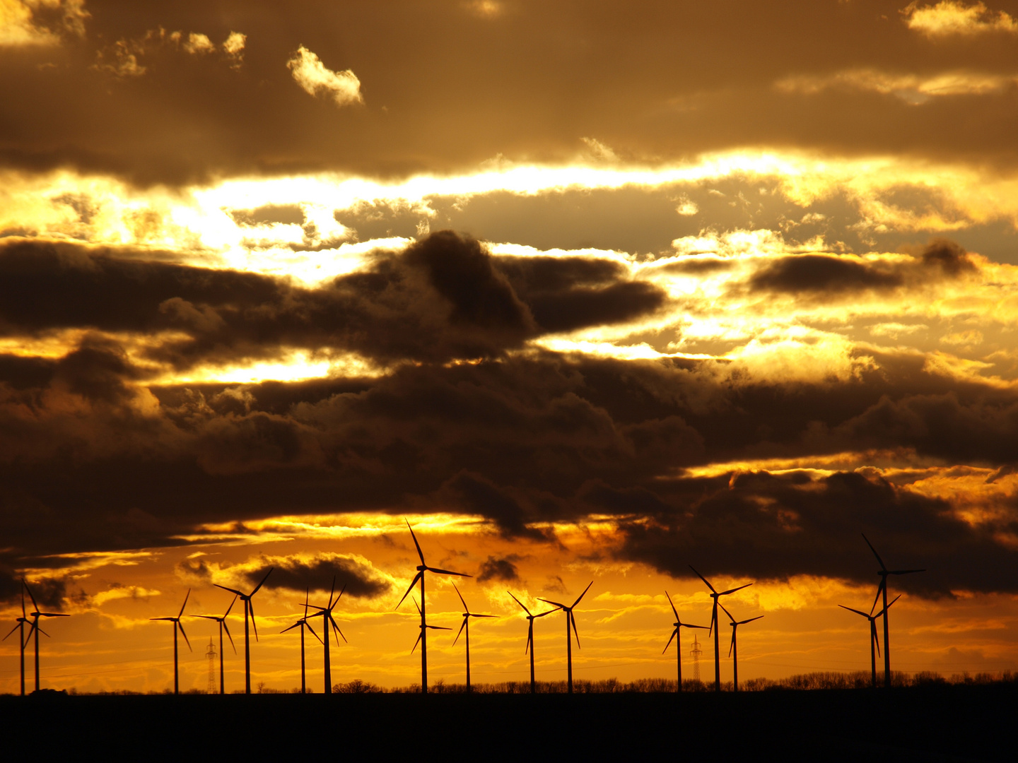 Windräder.