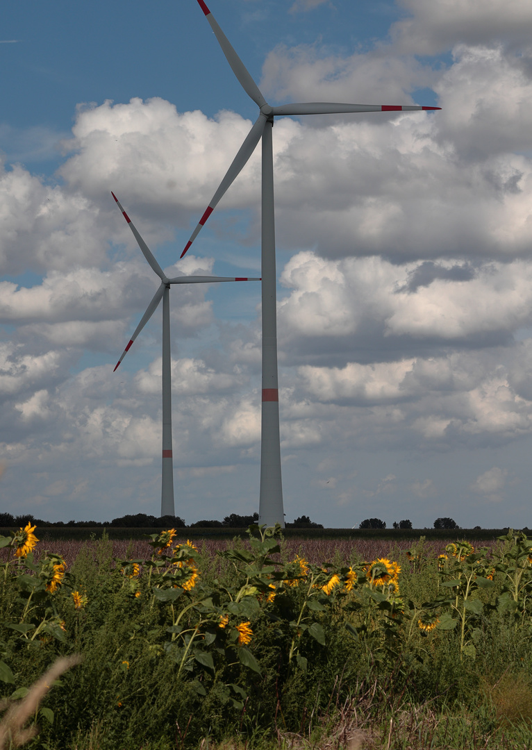  Windräder........