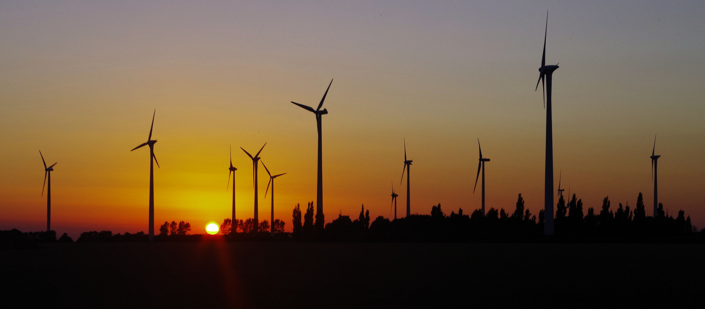 Windräder im Abendlicht