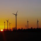 Windräder im Abendlicht