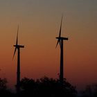 Windräder im Abendlicht