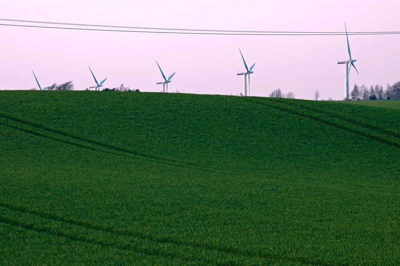 Windräder im Abendlicht