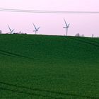 Windräder im Abendlicht