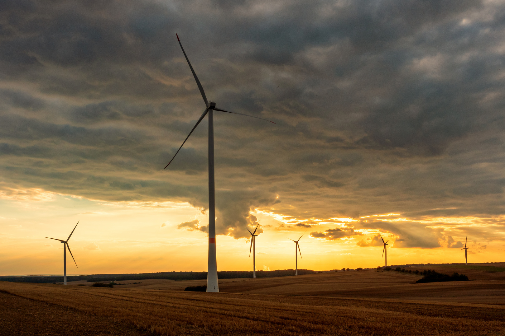 Windräder im Abendlicht 