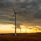 Windräder im Abendlicht 